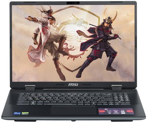 17" Ноутбук MSI Sword 17 HX B14VGKG-243XRU серый