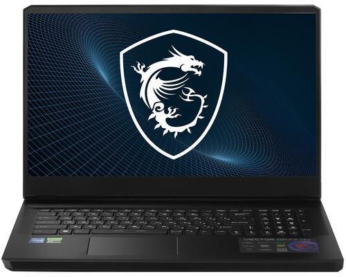 17.3" Ноутбук MSI Vector GP77 13VG-060XRU черный — фото 1